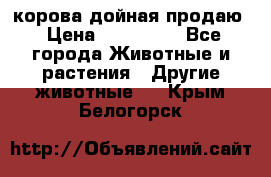 корова дойная продаю › Цена ­ 100 000 - Все города Животные и растения » Другие животные   . Крым,Белогорск